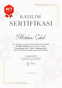 Metehan Çakal Galerisi