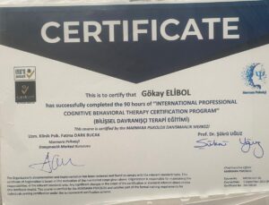 Gökay Elibol Galerisi