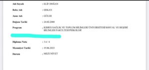 Elif Doğan Galerisi