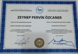 Zeynep Pervin Özcaner Galerisi